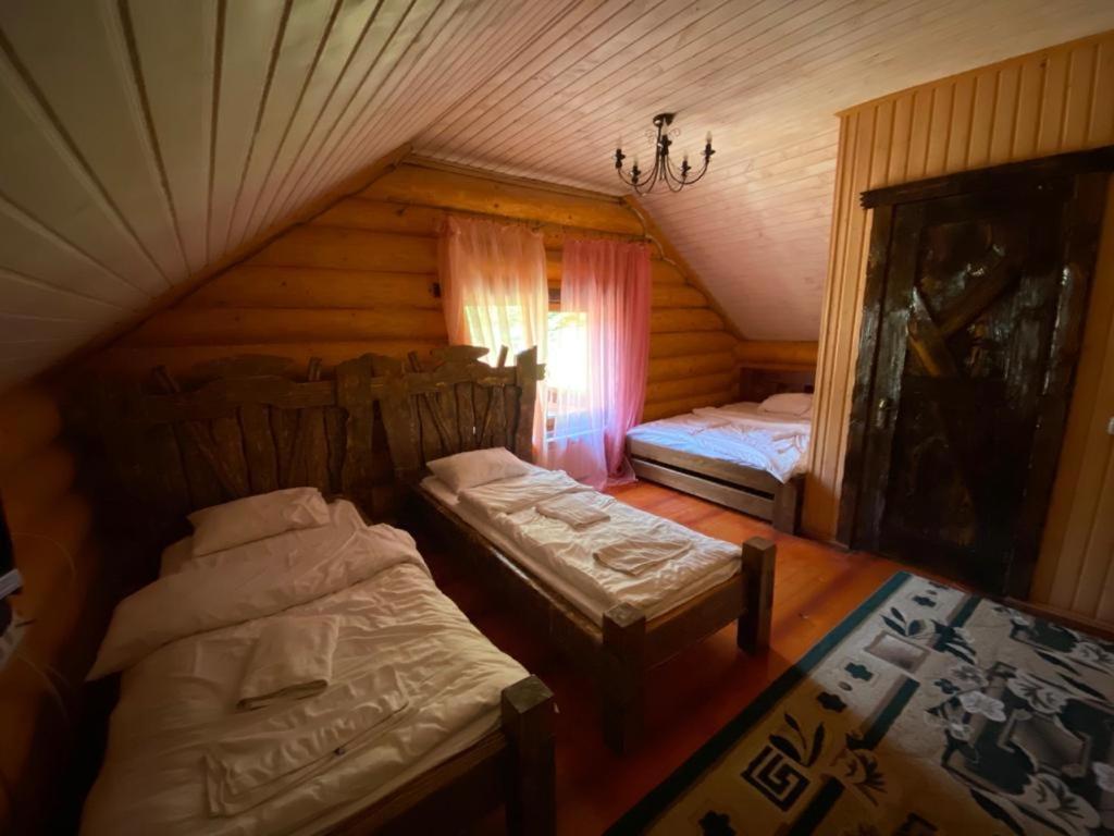 Hotel Berloga-Sinevir Synevyrsʼka Polyana 外观 照片